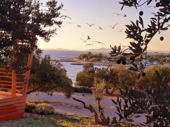 Eden Lady Mobile Home, Croatia, Drage Exterior foto