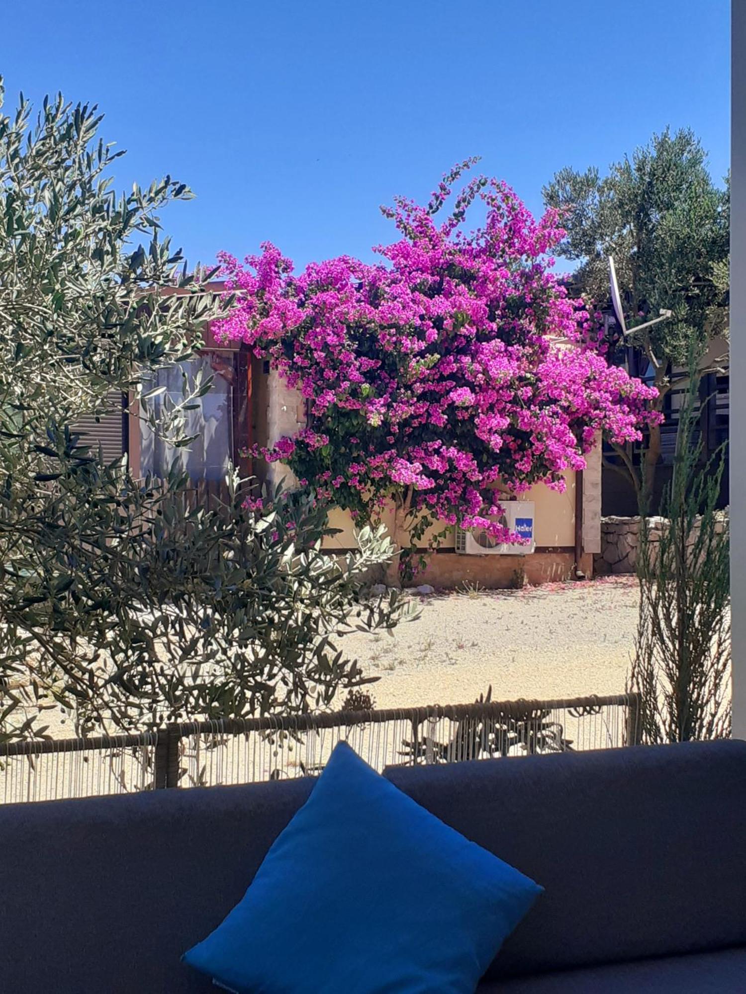 Eden Lady Mobile Home, Croatia, Drage Exterior foto